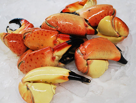 Stone Crab Claws, A Florida Delicacy