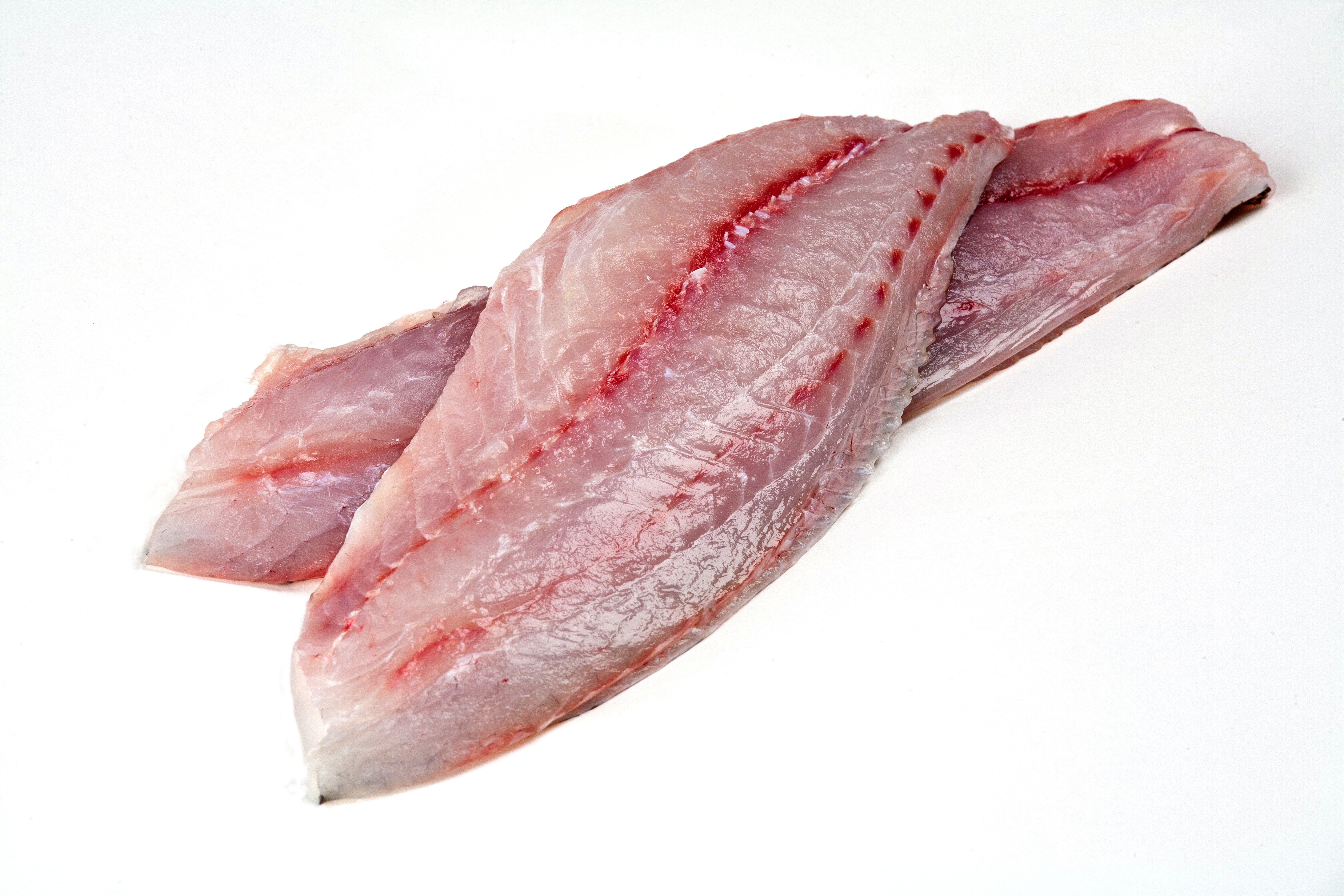 Fresh Yellowtail Snapper Peters Florida Seafood