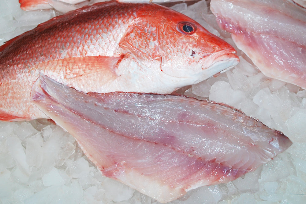 Fresh Whole Yellowtail Snapper – Peter's Florida Seafood