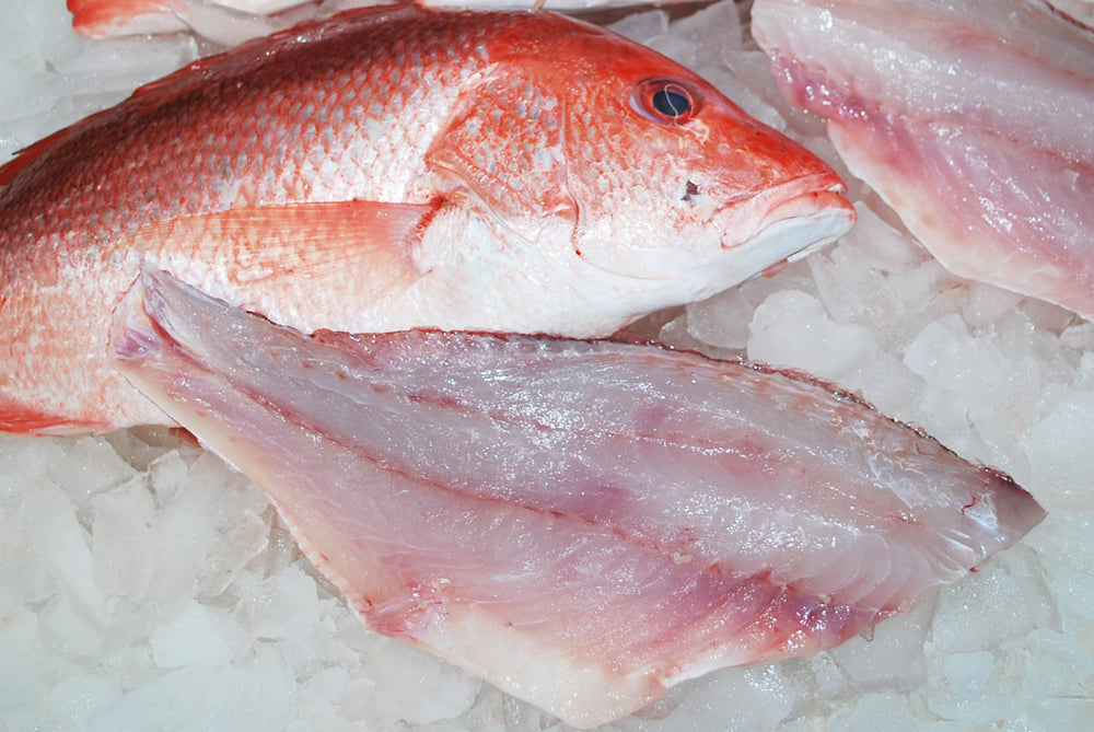 FRESH FISH – Peter's Florida Seafood